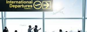 Interim Export Management
